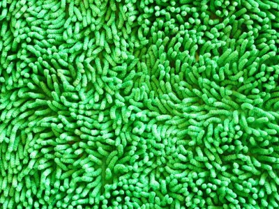 Pulizia della moquette